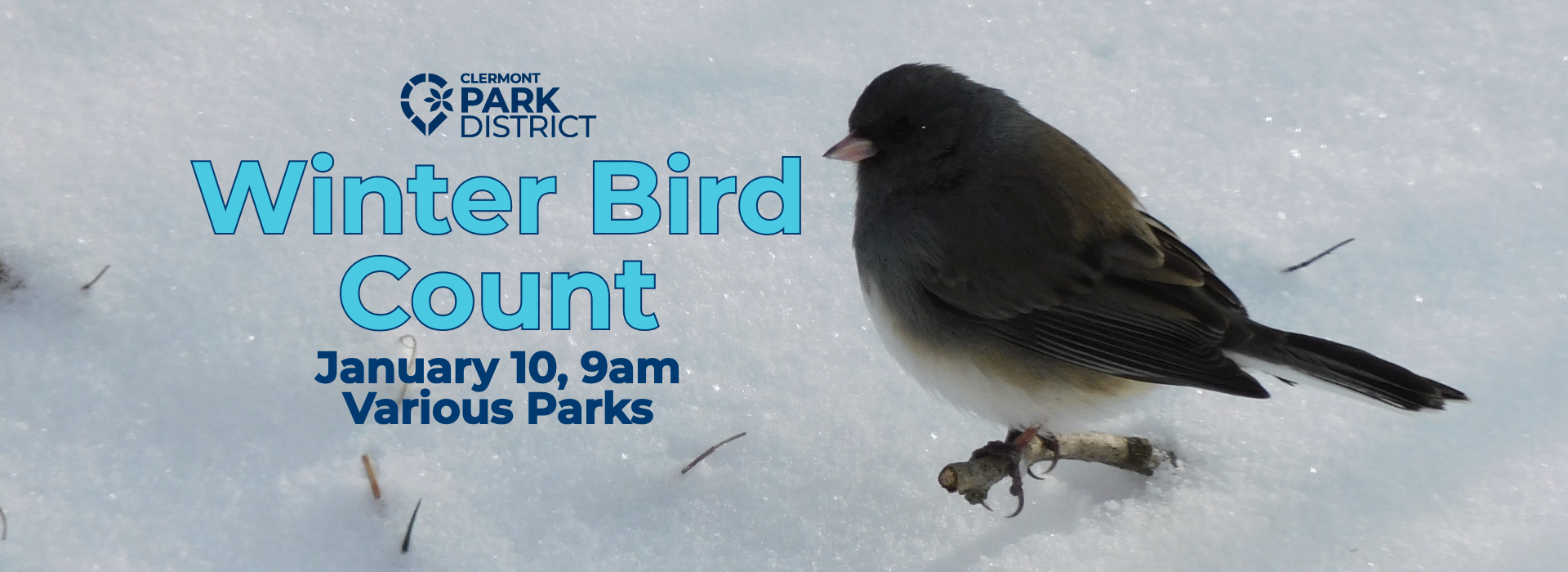 Photo of Dark-Eyed Junco in the snow, with the words "Winter Bird Count, January 10, 9am, Various Parks"